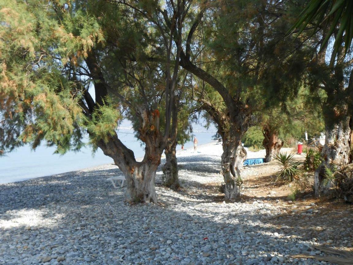 Aparthotel Horizon Aktaion Kalamata Zewnętrze zdjęcie
